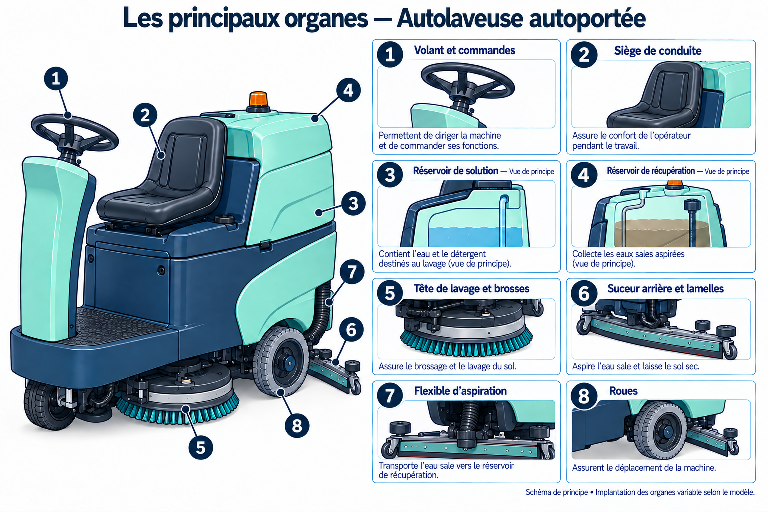 Schéma des principaux organes : Autolaveuse autoportée