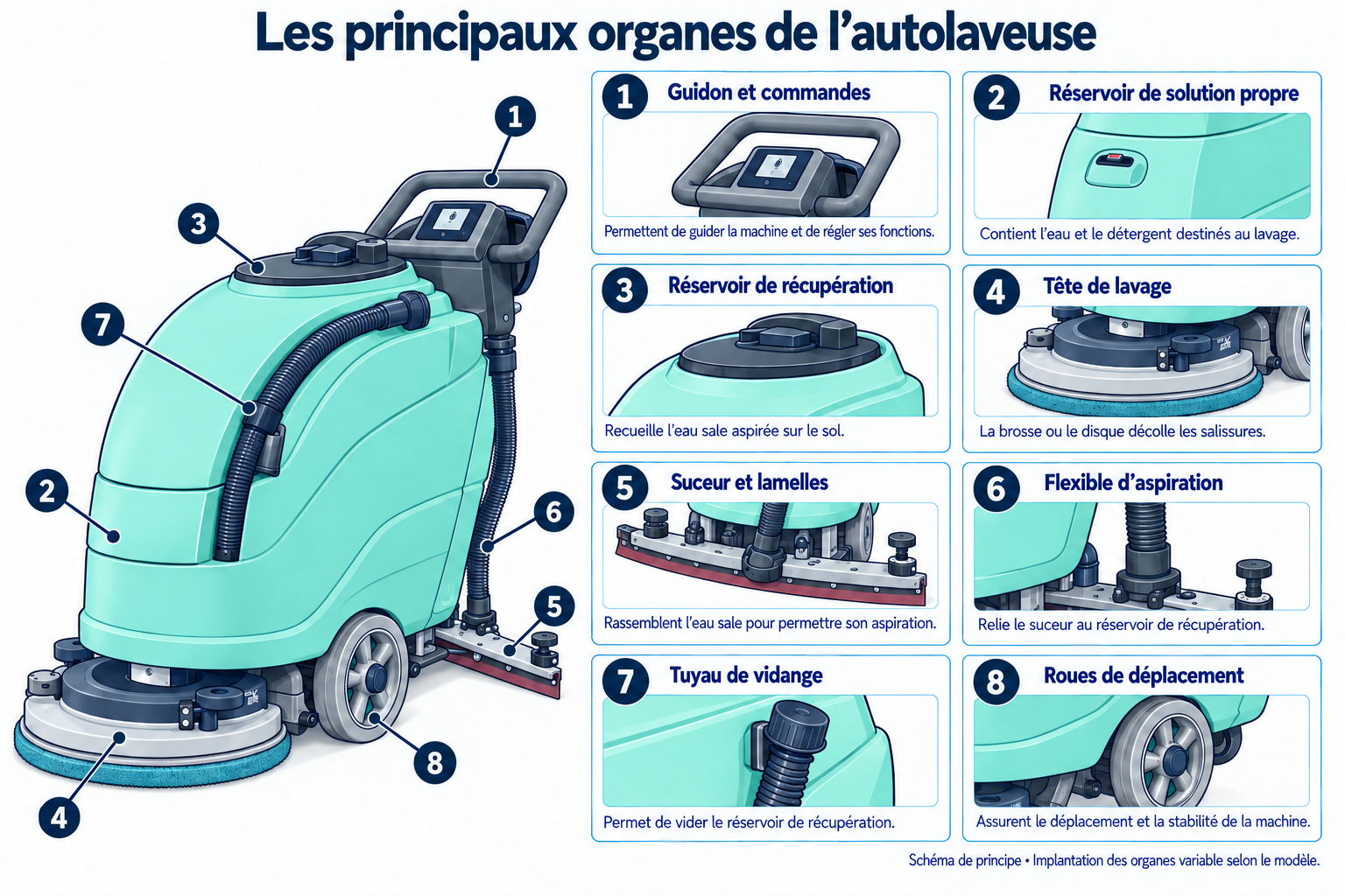 Schéma des principaux organes : Autolaveuse